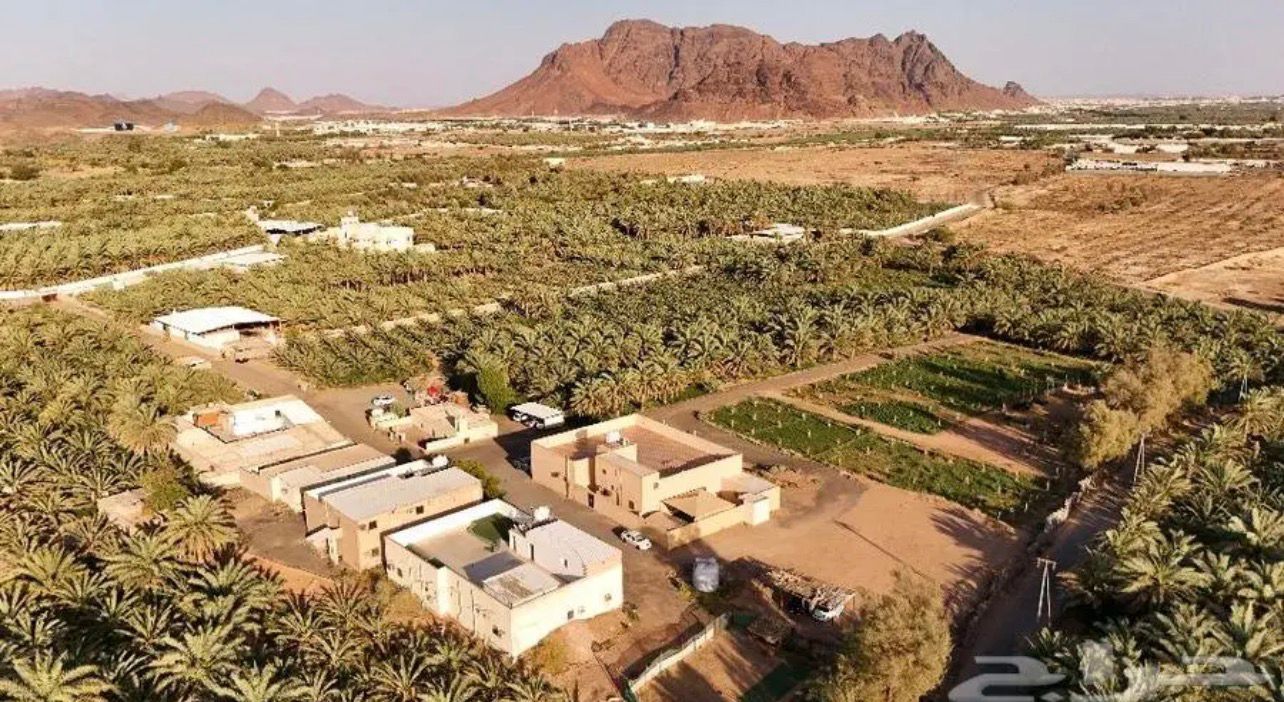 مزارع واستراحات